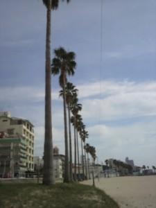 2011101713100000_ed.jpg