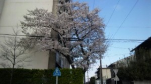 110407_161912_ed