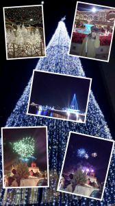 Collage_2012-12-25_23_35_14.png