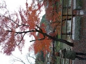 DSC_1057.jpg
